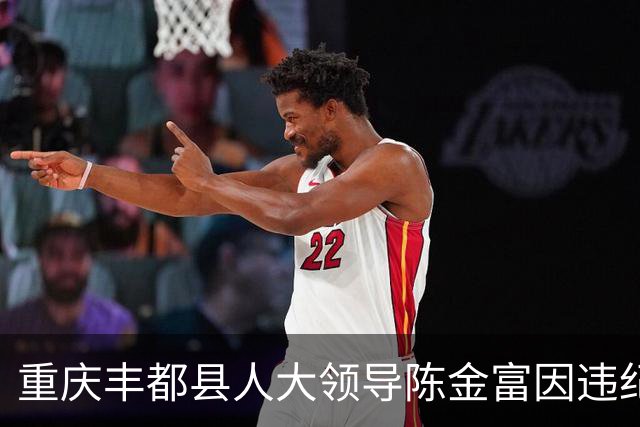 重庆丰都县人大领导陈金富因违纪被调查